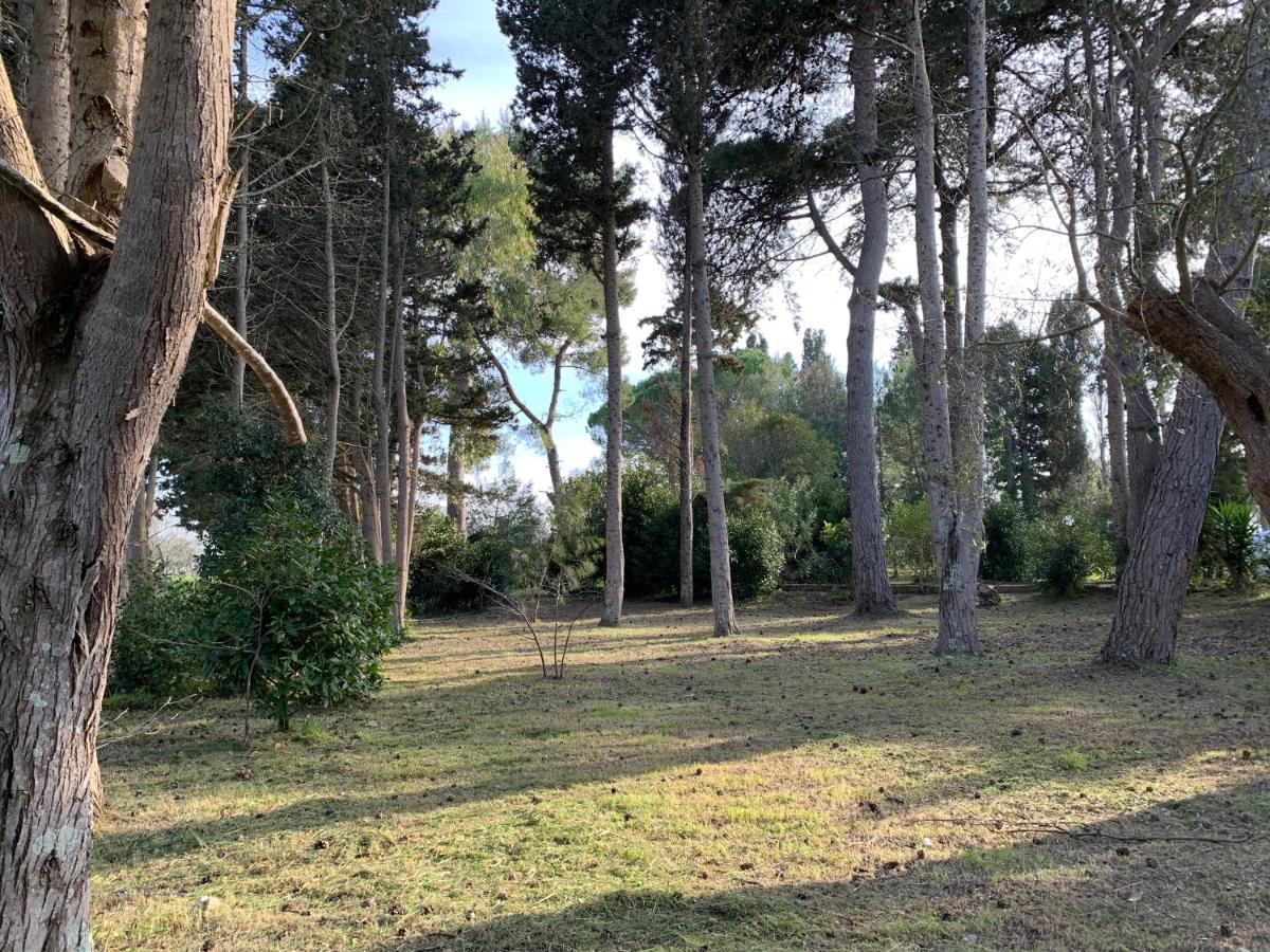 Eden Torre Dell Orso Apartment Torre dell'Orso Luaran gambar